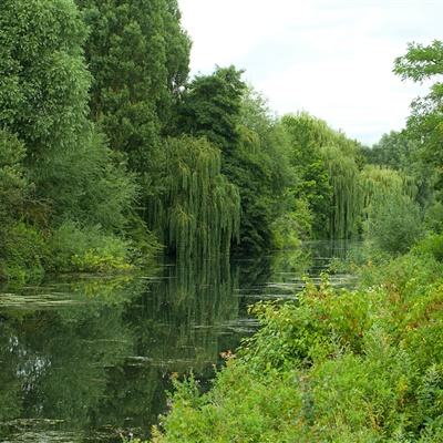 细哥细妹漂流记